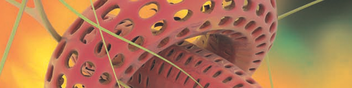 Genreglerande DNA-element