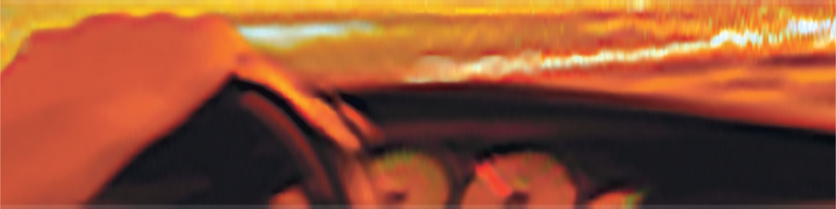 BILKÖRNING BLAND PATIENTER INSKRIVNA FÖR PALLIATIV VÅRD