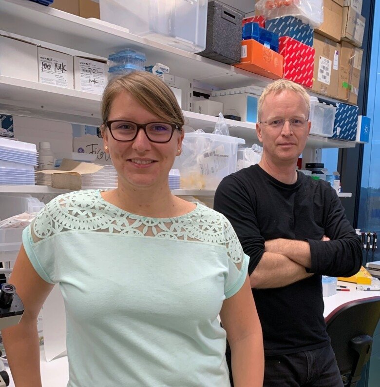 Ny typ av immunterapi för effektivare cancerbehandling
