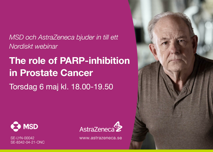 The role of PARP-inhibition in Prostate Cancer