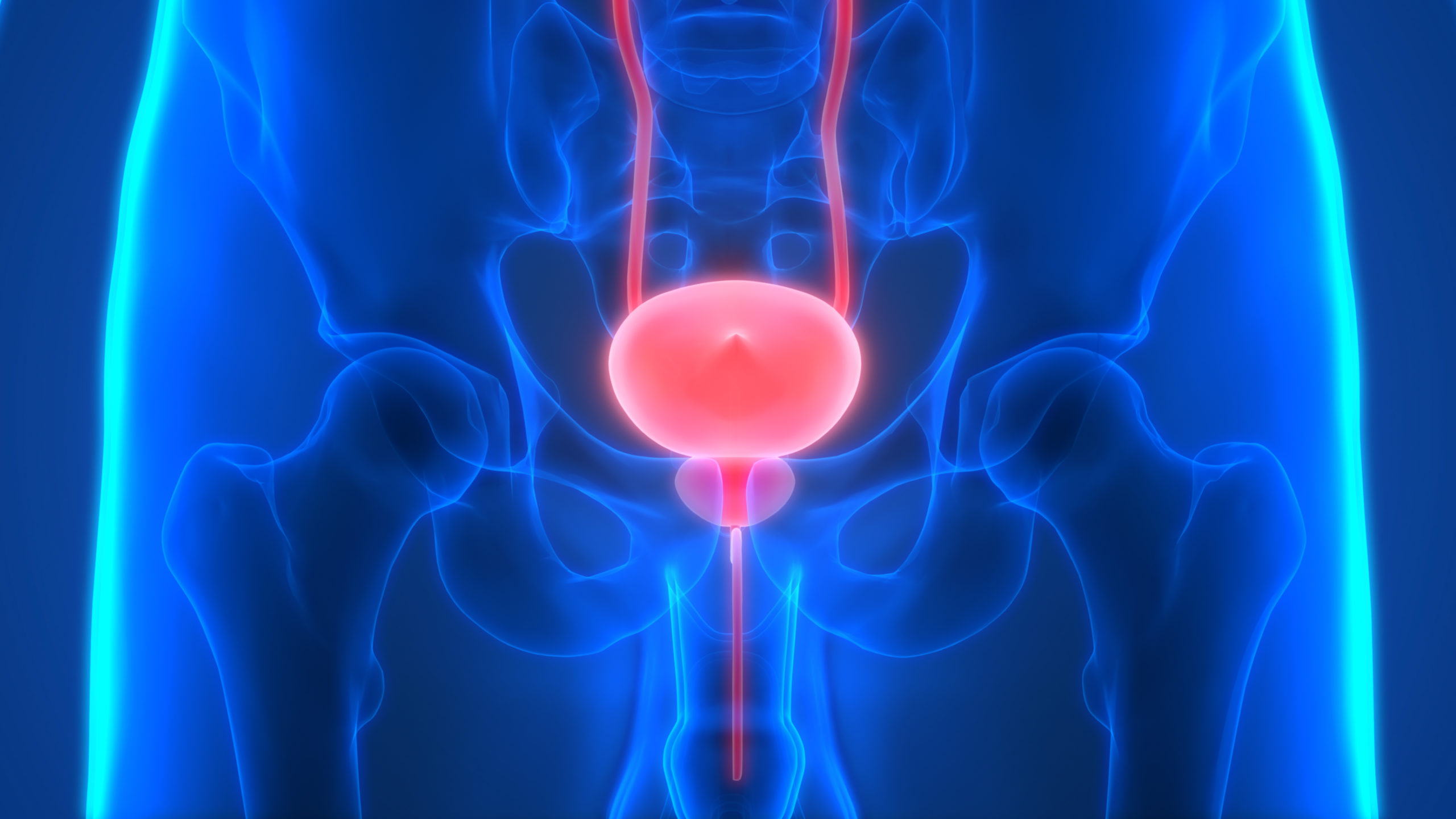 Darolutamide plus ADT och docetaxel förlänger överlevnaden för patienter med metastaserad hormonkänslig  prostatacancer