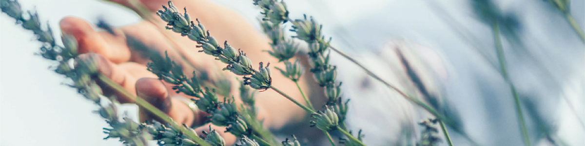 Nuets förnöjsamhet – teori som bygger på acceptans av livets oförutsägbarhet