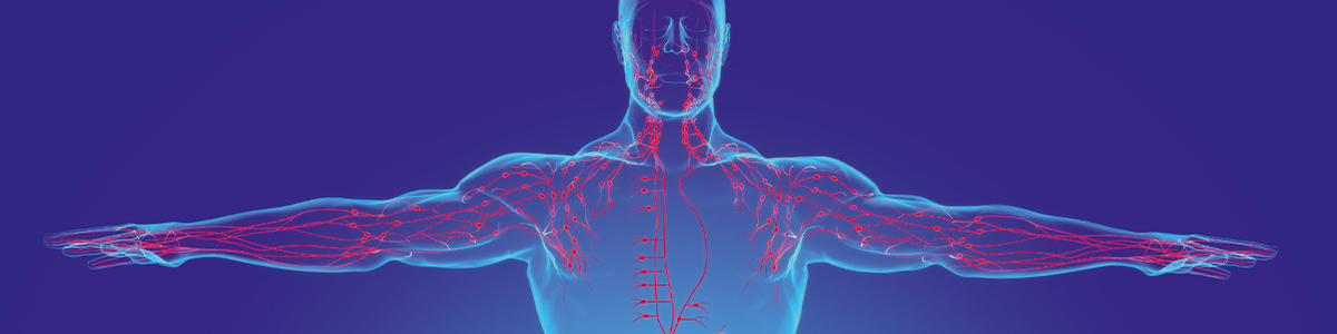Förändringar av lymfkörtlar vid cancer – nytt forskningsfält med löfte om möjligheter att hitta nya biomarkörer och framtida terapi