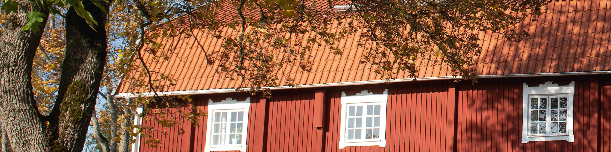 Specialistläkare från mindre sjukhus på efterlängtad kurs