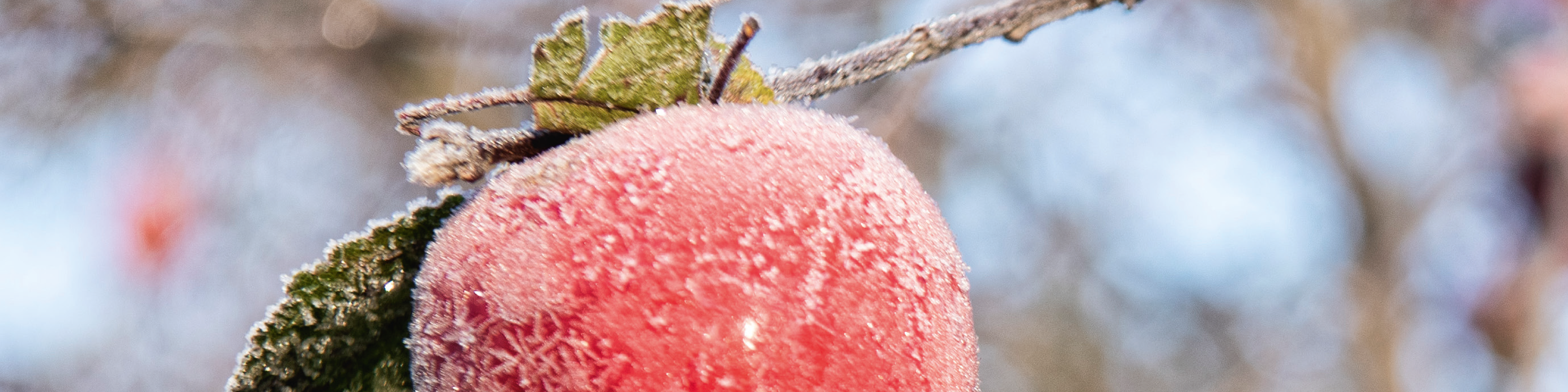 Uppskattad fortbildning för specialister inom prostatacancervården